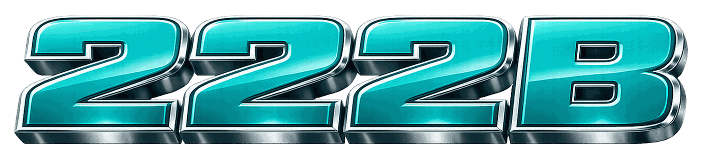 222b লোগো